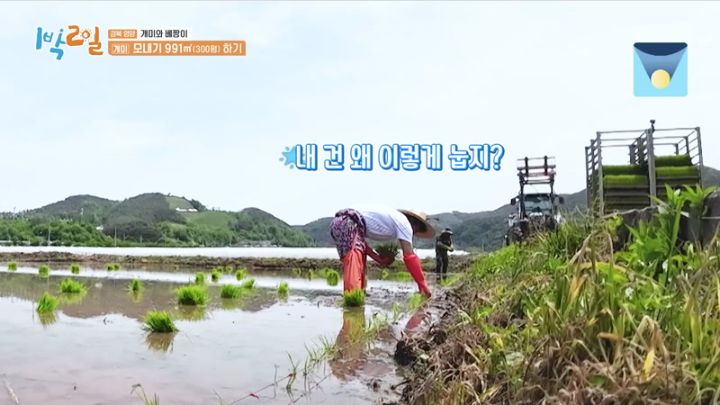 1박 2일 시즌4.E1179.230604.jpg