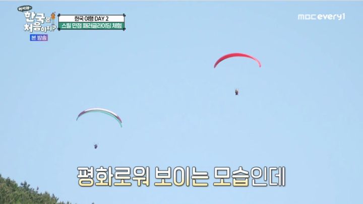 어서와 한국은 처음이지 시즌2.E1269.230629.jpg