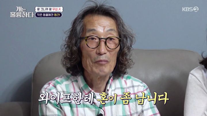 개는 훌륭하다.E1184.230724.jpg