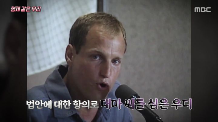 신비한TV 서프라이즈.E11100.240204.jpg